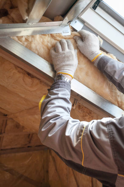 Best Eco-Friendly Insulation in Ashland City, TN