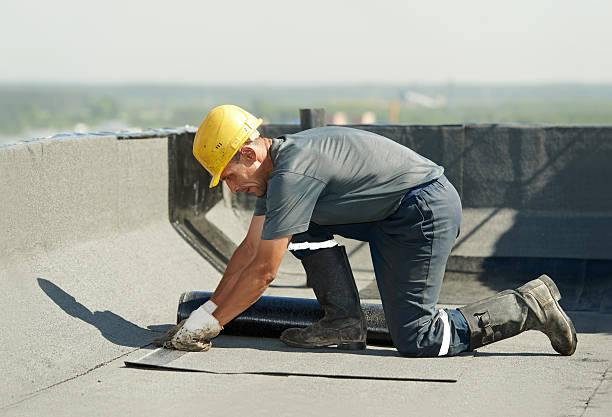Best Geographic-Specific Insulation Services in Ashland City, TN