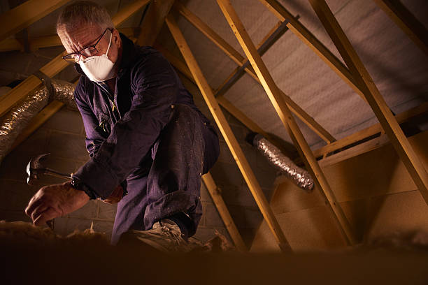 Types of Insulation We Offer in Ashland City, TN